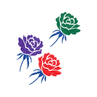 Garden Roses Flowers