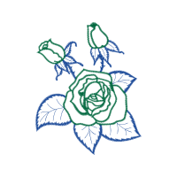 Garden Roses Flowers