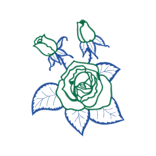 Garden Roses Flowers Garden Roses Flowers