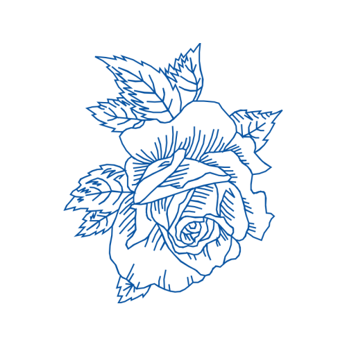 Garden Roses Flowers Garden Roses Flowers