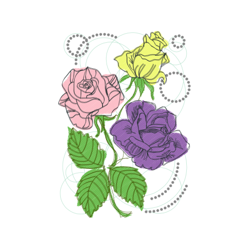 Garden Roses Flowers Garden Roses Flowers