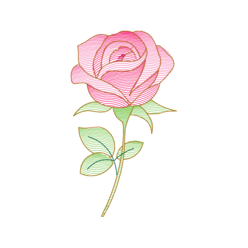 Garden Roses Flowers Garden Roses Flowers