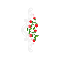 Garden Roses Flowers Garden Roses Flowers