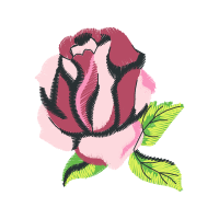 Garden Roses Flowers