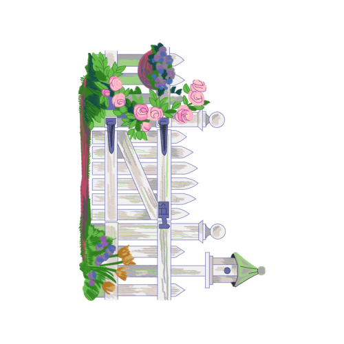 Garden Roses Flowers Garden Roses Flowers