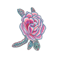 Garden Roses Flowers Garden Roses Flowers