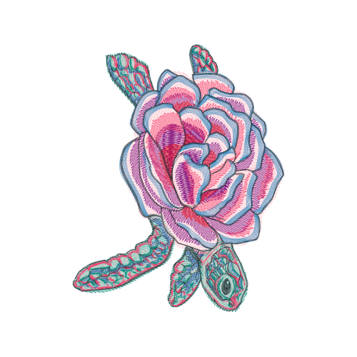 Garden Roses Flowers Garden Roses Flowers