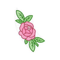 Garden Roses Flowers Garden Roses Flowers