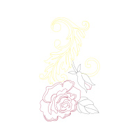 Garden Roses Flowers Garden Roses Flowers