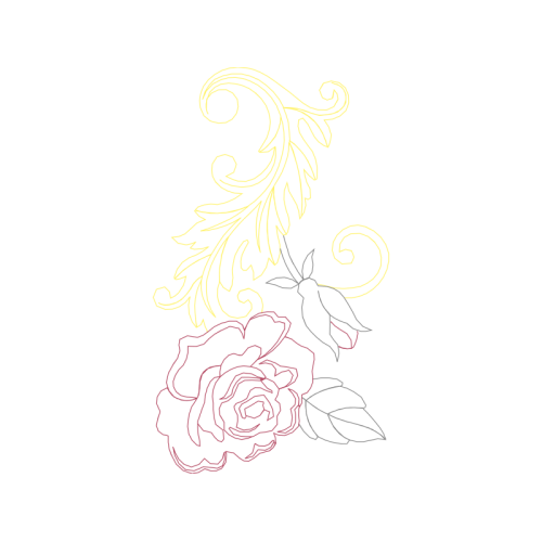 Garden Roses Flowers Garden Roses Flowers