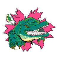 Garden Roses Flowers Garden Roses Flowers