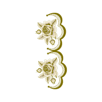 Garden Roses Flowers Garden Roses Flowers