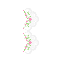 Garden Roses Flowers Garden Roses Flowers