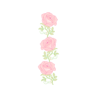 Garden Roses Flowers