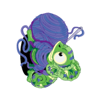 Garden Roses Flowers