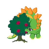 Garden Roses Flowers Garden Roses Flowers