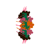 Garden Roses Flowers Garden Roses Flowers