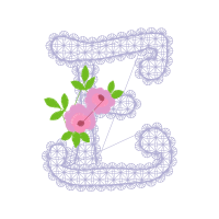 Garden Roses Flowers