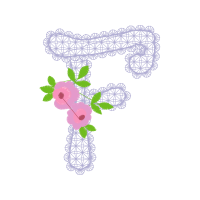 Garden Roses Flowers