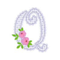 Garden Roses Flowers