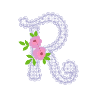 Garden Roses Flowers