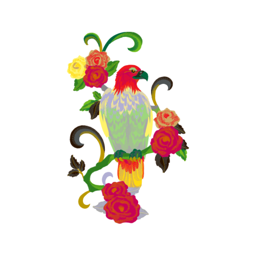 Garden Roses Flowers Garden Roses Flowers