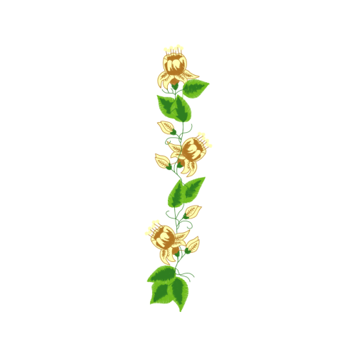 Garden Roses Flowers Garden Roses Flowers