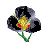 Garden Roses Flowers