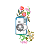 Garden Roses Flowers