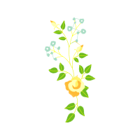 Garden Roses Flowers