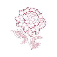 Garden Roses Flowers