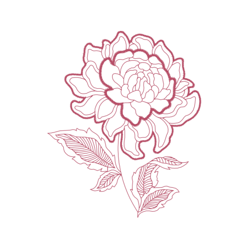 Garden Roses Flowers Garden Roses Flowers