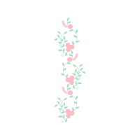 Garden Roses Flowers