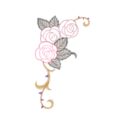 Garden Roses Flowers Garden Roses Flowers