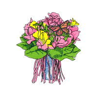 Garden Roses Flowers Garden Roses Flowers