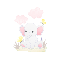 Garden Roses Flowers