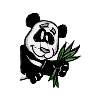 Garden Roses Flowers Garden Roses Flowers