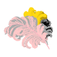 Garden Roses Flowers Garden Roses Flowers