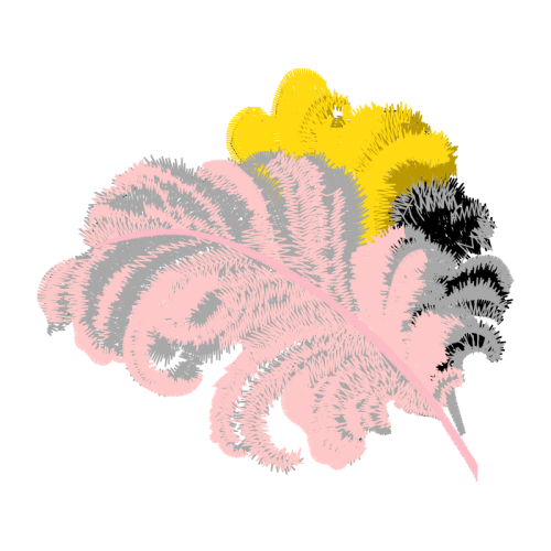 Garden Roses Flowers Garden Roses Flowers