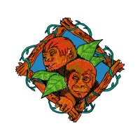 Garden Roses Flowers Garden Roses Flowers