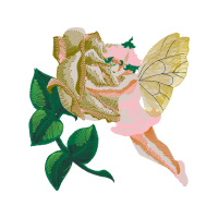 Garden Roses Flowers Garden Roses Flowers