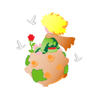 Garden Roses Flowers