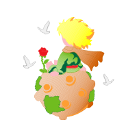 Garden Roses Flowers