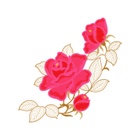 Garden Roses Flowers Garden Roses Flowers