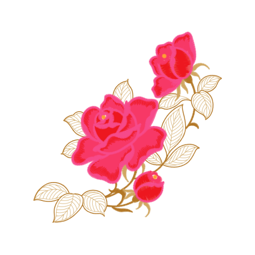 Garden Roses Flowers Garden Roses Flowers