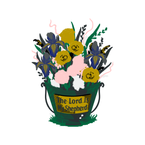 Garden Roses Flowers Garden Roses Flowers