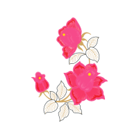 Garden Roses Flowers Garden Roses Flowers