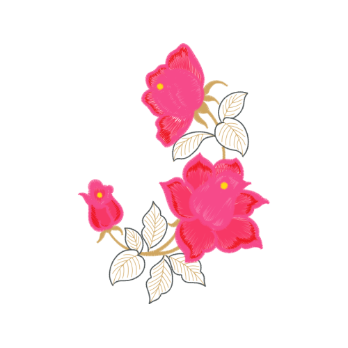 Garden Roses Flowers Garden Roses Flowers