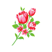 Garden Roses Flowers