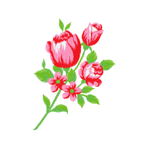 Garden Roses Flowers Garden Roses Flowers